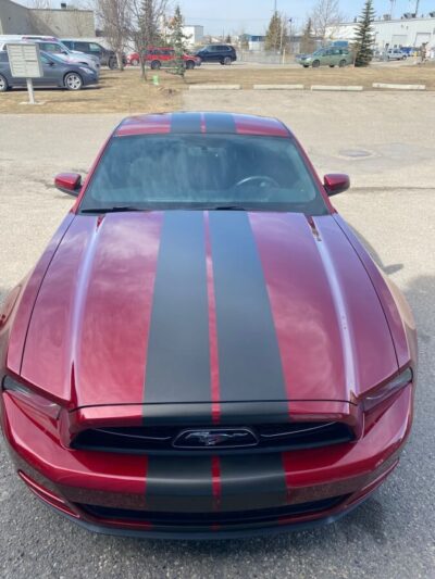 Mustang Stripes // Cars